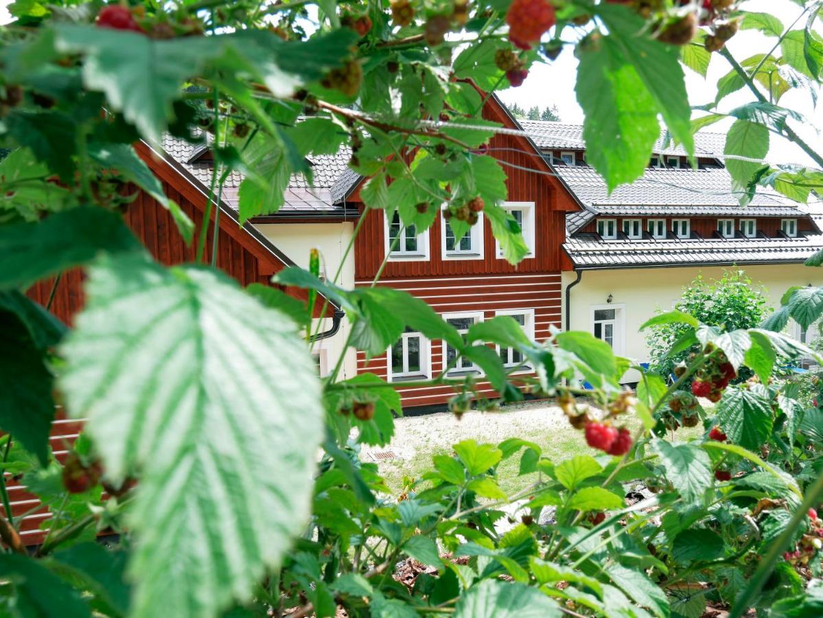 Apartmany Pod Marianskymi Schody Albrechtice v Jizerskych horach Exteriör bild